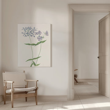Blue Phlox From North American Wildflowers (1925) By Mary Vaux Walcott. | Canvas - Room Interior 1