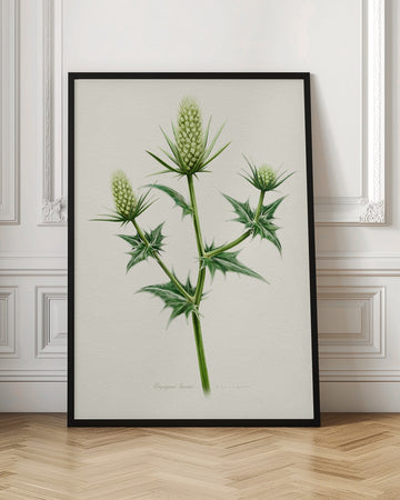 Botanical Sea Holly | Poster - Room Interior 1