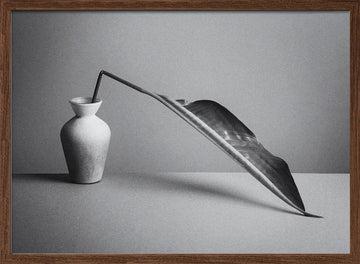 Monochrome Botanical Study | Poster - Walnut Frame Interior