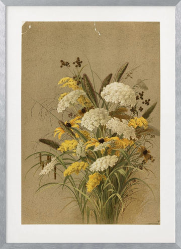 Hemlock, Ox Eye Grasses and Golden Rod | Poster - Silver Frame Interior