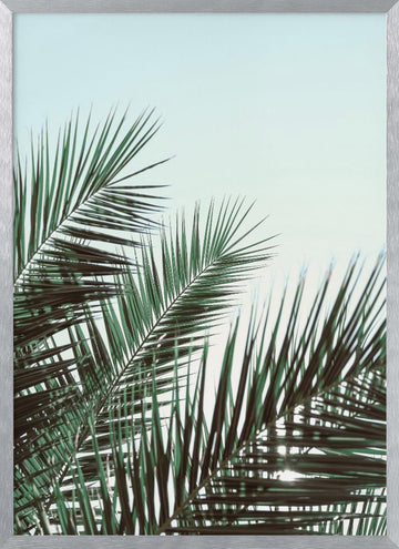 Tropical Palm Fronds | Poster - Silver Frame Interior