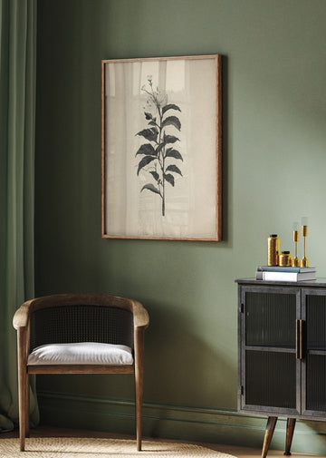 Vintage Botanical Illustration | Poster - Room Interior 2