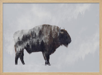 Wild Bison Forest | Poster - Wood Frame Interior