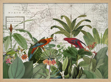 Tropical Map Exploration | Poster - Wood Frame Interior