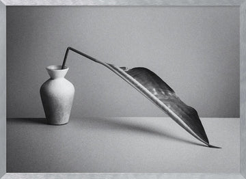 Monochrome Botanical Study | Poster - Silver Frame Interior