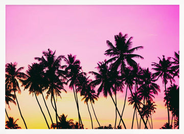 Pink Sky Palm Trees | Poster - White Frame Interior