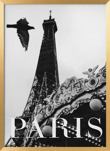 Paris Dove | Poster - Gold Frame Interior