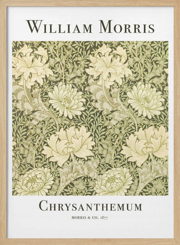 Chrysanthemum | Poster - Wood Frame Interior