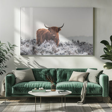 Highland Cow Winter Frost | Poster - Room Interior 1