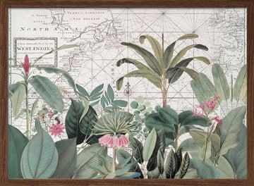 Vintage Map Botanicals | Poster - Walnut Frame Interior