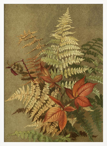 Autumn Ferns | Poster - White Frame Interior