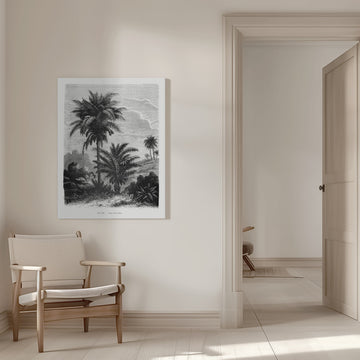 Vintage Palm Tree Drawing V | Canvas - Room Interior 1
