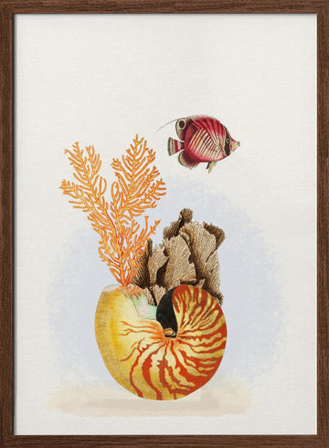 Nautilus Reef Life | Poster - Walnut Frame Interior