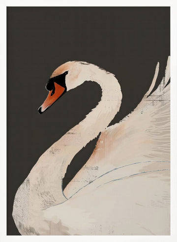 Graceful White Swan | Poster - White Frame Interior