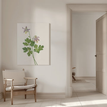 Shortspur Columbine From North American Wildflowers (1925) By Mary Vaux Walcott | Canvas - Room Interior 1