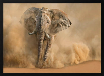Majestic Elephant Dust Cloud | Poster - Black Metal Frame Interior