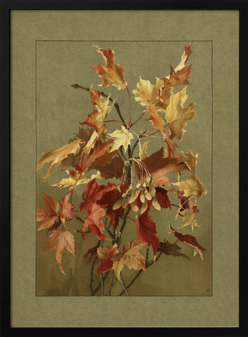 Autumn Leaves, Maple | Poster - Black Metal Frame Interior