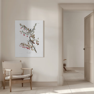 Tree Sparrow From Birds of America (1827) | Canvas - Room Interior 1