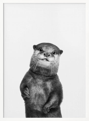 Otter | Poster - White Frame Interior