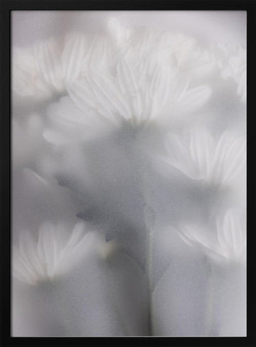 Blurred Flowers 6 | Poster - Black Metal Frame Interior