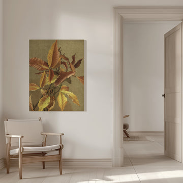 Autumn Leaves No. 3 Beech By Ellen Thayer Fisher | Canvas - Room Interior 1