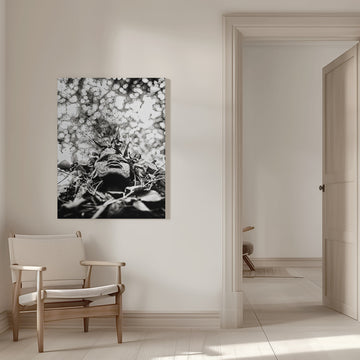 Nature Spirit Portrait | Canvas - Room Interior 1