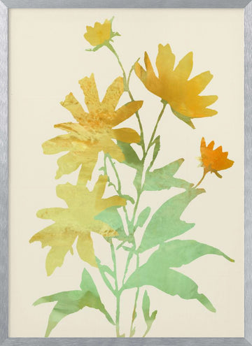 Yellow Botanical Bloom | Poster - Silver Frame Interior