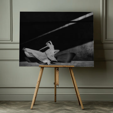 Graceful Shadow Dance | Canvas - Room Interior 1