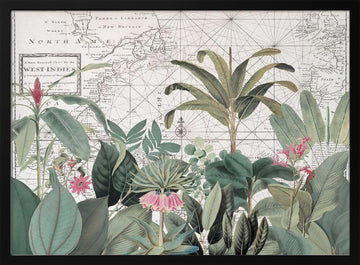 Vintage Map Botanicals | Poster - Black Metal Frame Interior