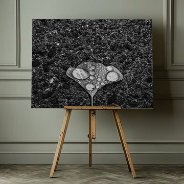 Ginkgo Leaf Water Drops | Canvas - Room Interior 1