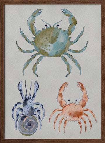 Ocean Crabs Watercolor | Poster - Walnut Frame Interior