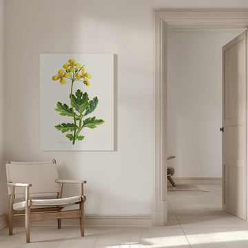 Vintage Celandine Botanical | Canvas - Room Interior 1
