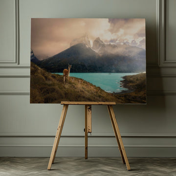 Patagonia Guanaco Peaks | Canvas - Room Interior 1