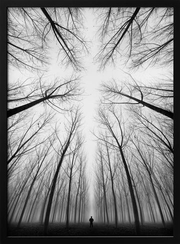 Lone Figure Foggy Forest | Poster - Black Metal Frame Interior