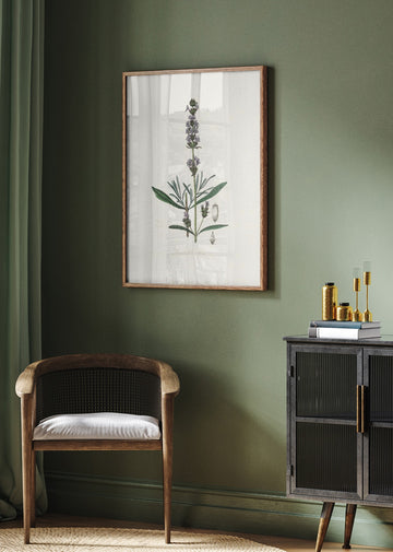 Lavender (lavandula Ipica)  Medical Botany | Poster - Room Interior 2