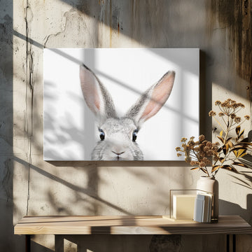 Peeking Bunny | Canvas - Room Interior 2