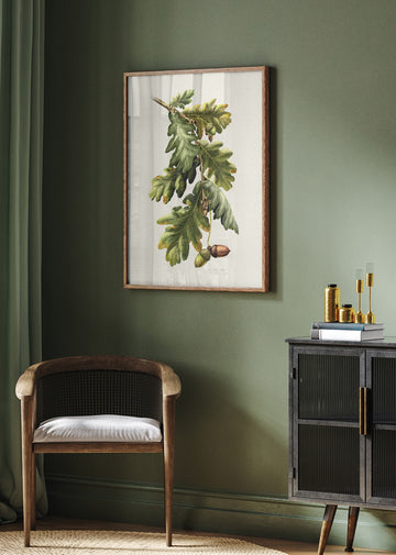 Botanical Oak Acorns | Poster - Room Interior 2