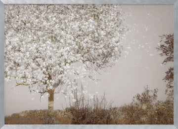 Fruit tree | Poster - Silver Frame Interior