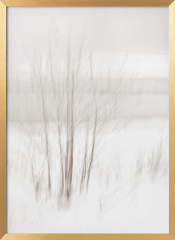 Ethereal Winter Woods | Poster - Gold Frame Interior