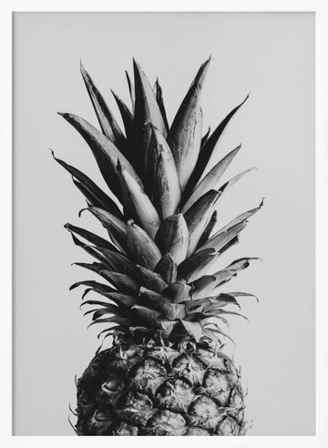 Black and White Pineapple | Poster - White Frame Interior