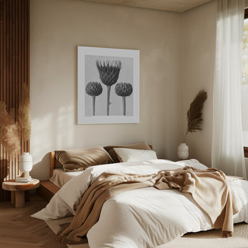 Serratula Nudicaulis | Canvas - Room Interior 2