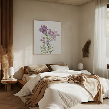 Purple Penstemon From North American Wildflowers (1925) By Mary Vaux Walcott | Canvas - Room Interior 2