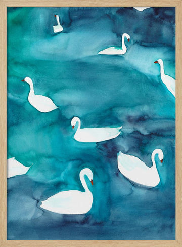 Graceful Swans on Water | Poster - Wood Frame Interior