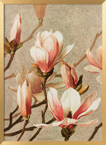 Magnolia | Poster - Gold Frame Interior