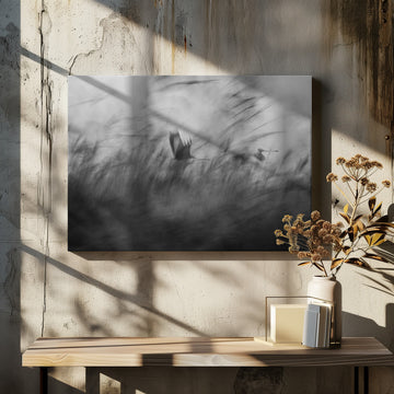 Misty Flight Through Reeds | Canvas - Room Interior 2