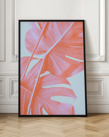 Coral Monstera Glow | Poster - Room Interior 1