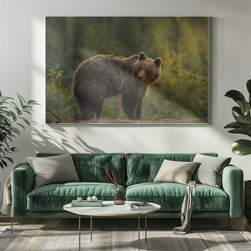 Bear in Golden Light | Poster - Room Interior 1