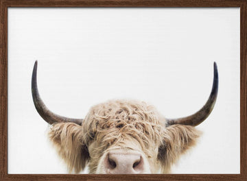Peeking Cow | Poster - Walnut Frame Interior