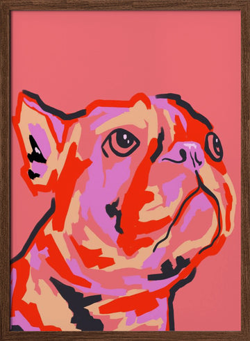 Colorful Pop Bulldog | Poster - Walnut Frame Interior
