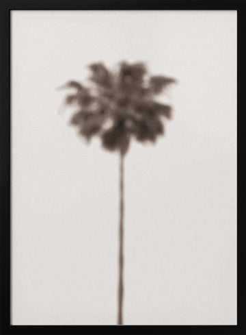 Blurred Palm Tree | Poster - Black Frame Interior